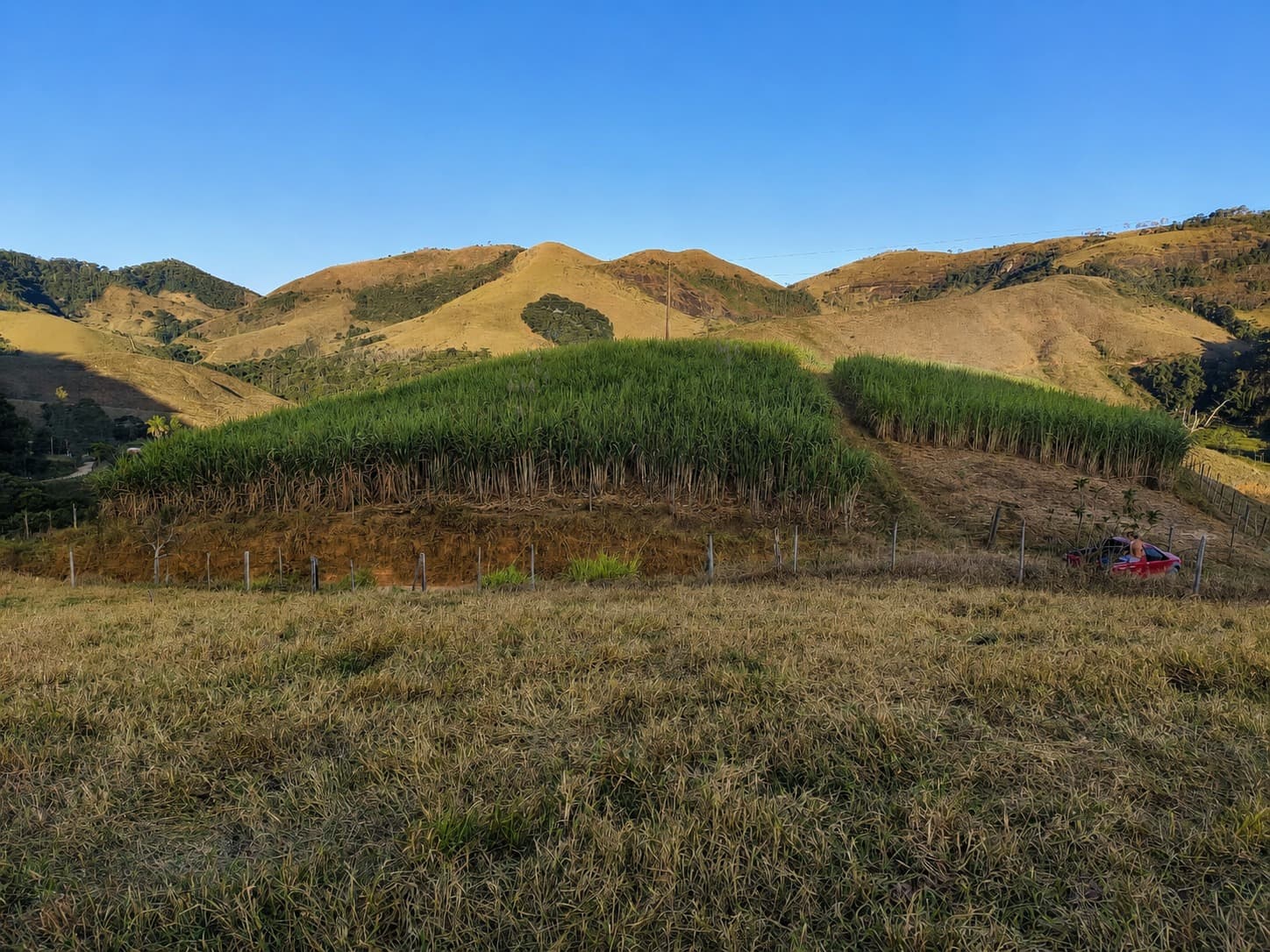 Canavial e paisagem de Santa Rita de Jacutinga